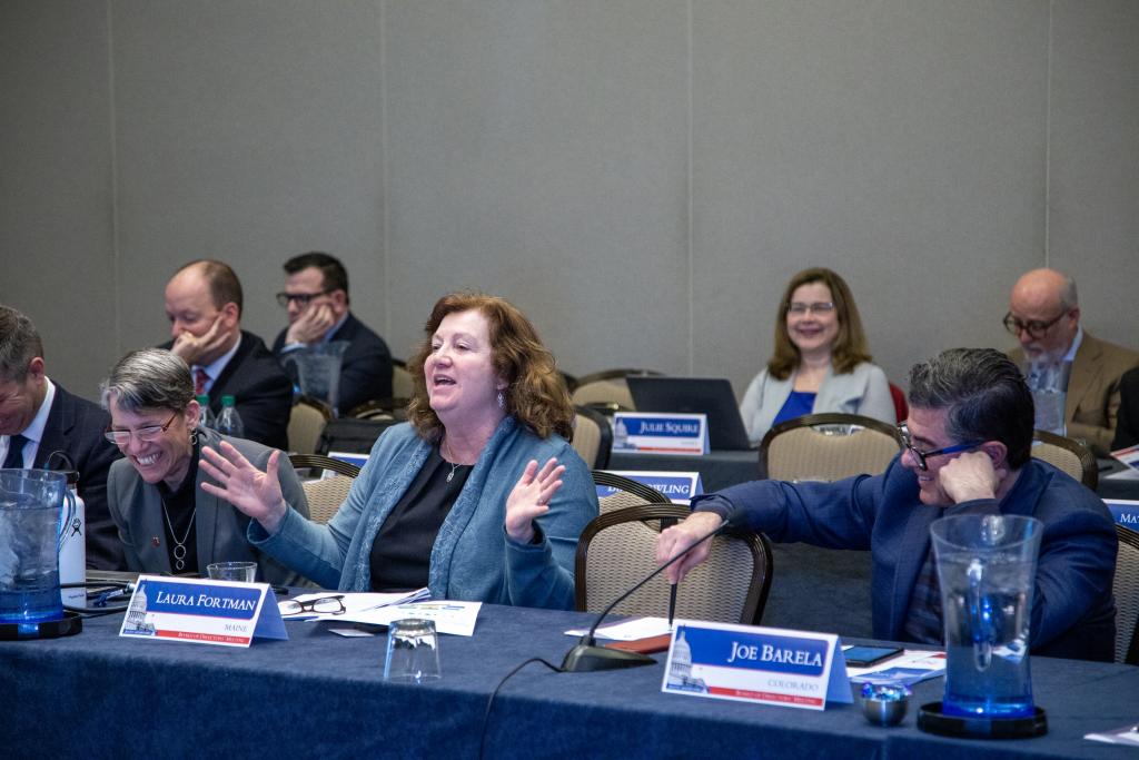 Laura Fortman (ME) makes a comment during the NASWA Board of Directors' Meeting