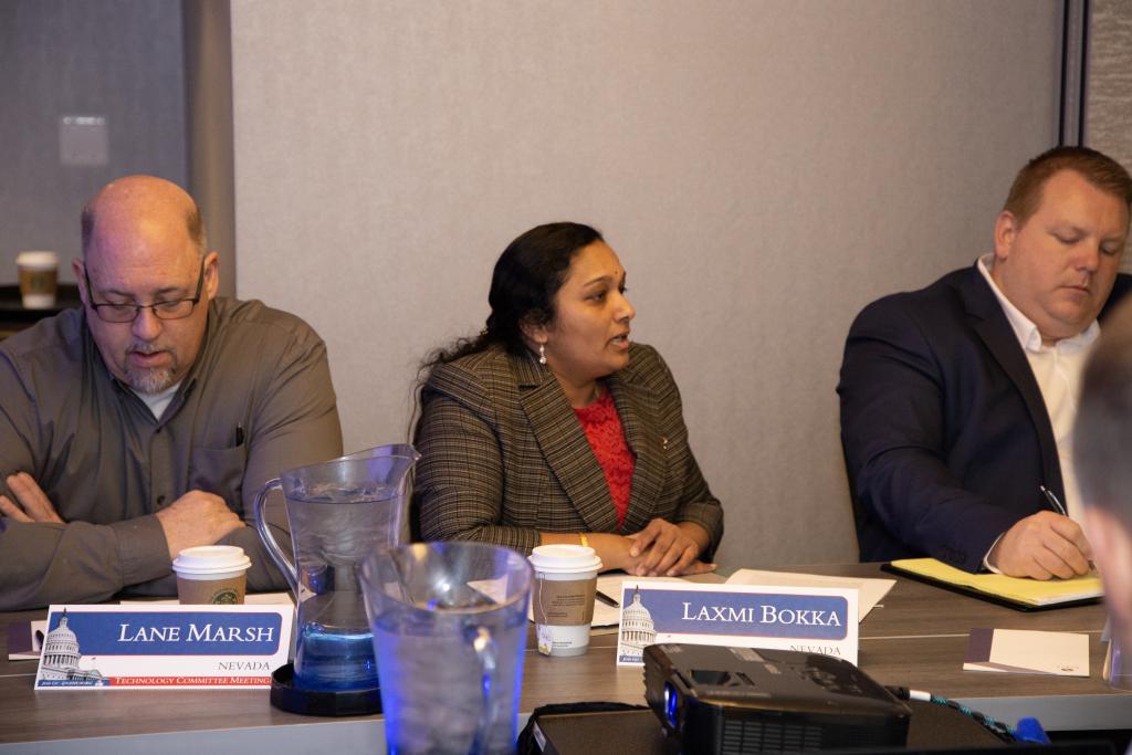 Laxmi Bokka, Manager, IT, Nevada Department of Employment, Training and Rehabilitation comments at the Technology Committee Meeting